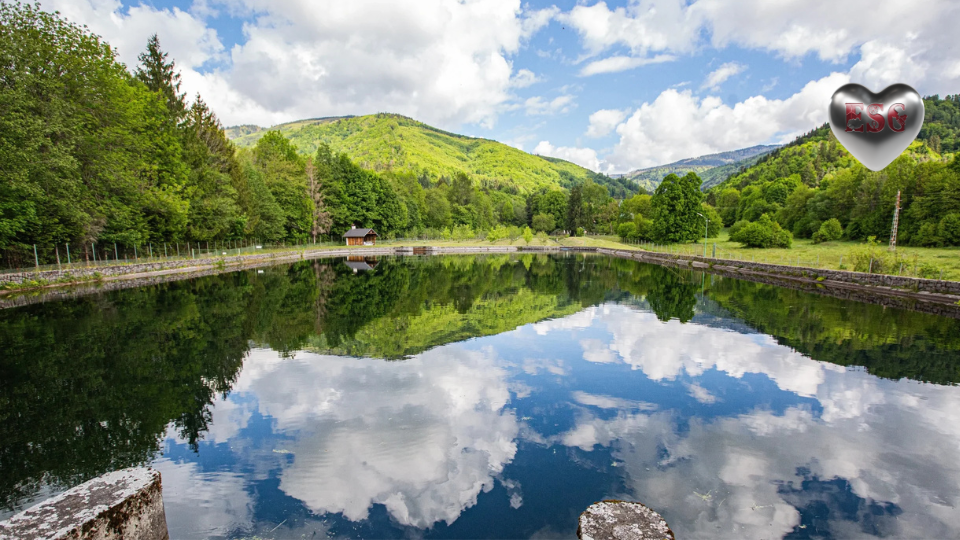 Protection of Water Resources